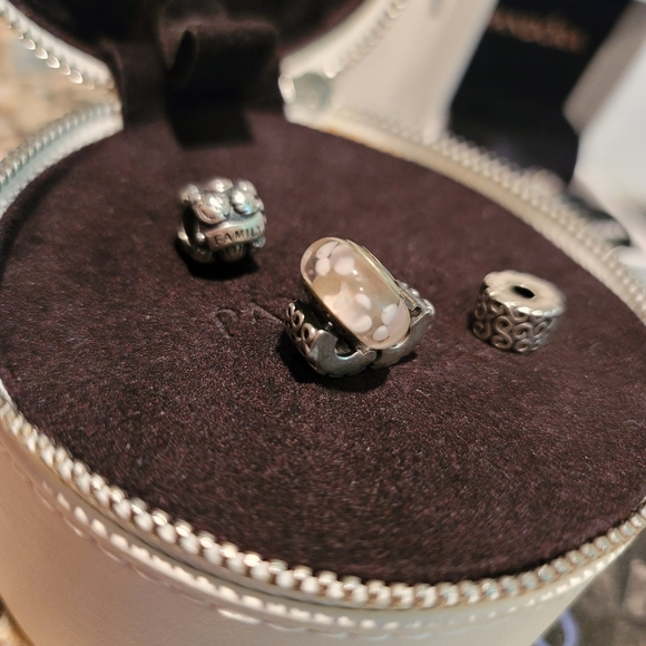 Pandora Bundle - Retired Charms, Wishbone Ring (9) & Limited Edition Case! - Picture 4 of 16